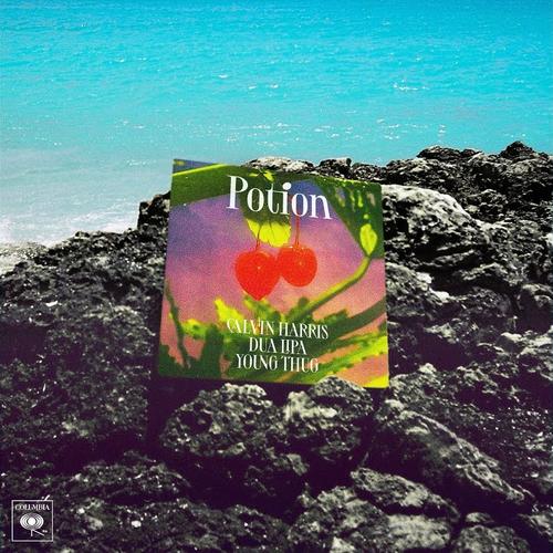 Cover di Potion by Calvin Harris, Dua Lipa, Young Thug