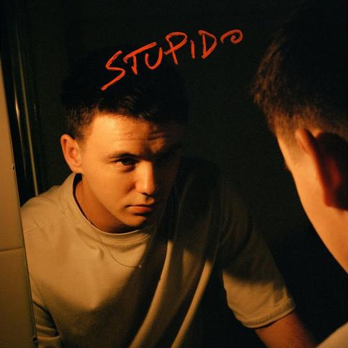 Cover di Stupido by Will