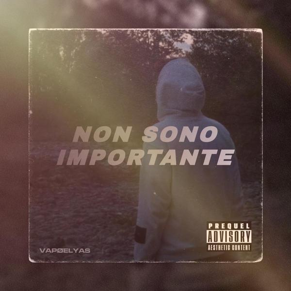 Cover di Non Sono Importante by Vapøelyas