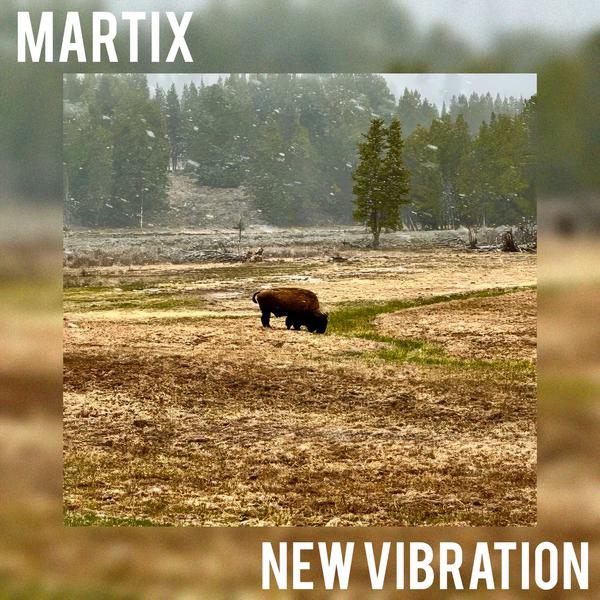 Cover di New Vibration by Martix