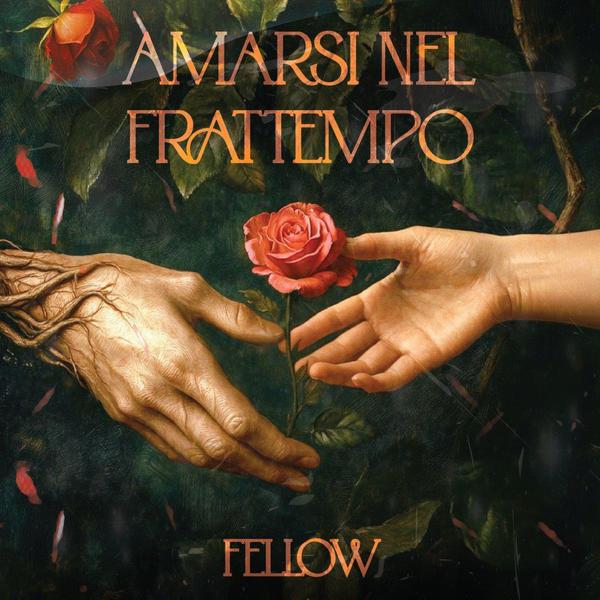 Cover di Amarsi Nel Frattempo by Fellow