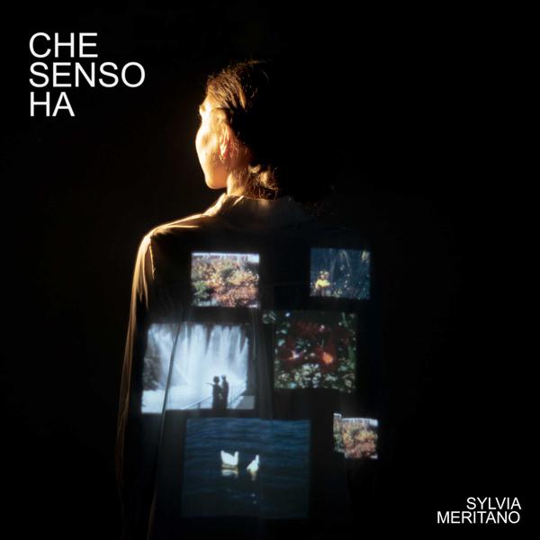 Cover di Che Senso Ha by Sylvia Meritano