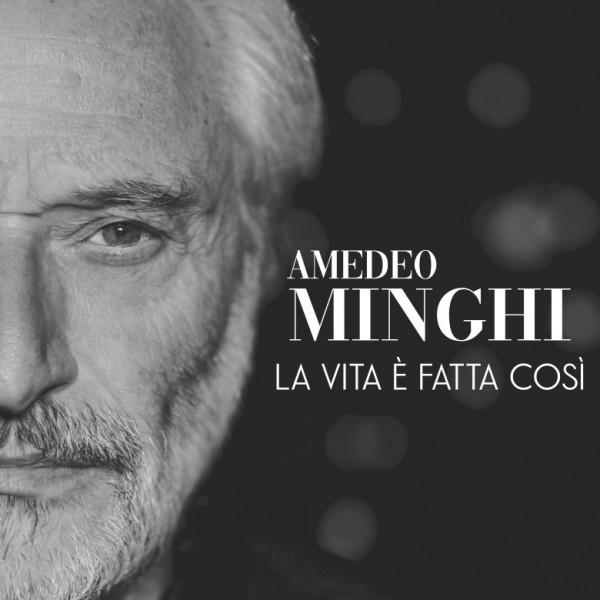 Cover di La Vita È Fatta Così by Amedeo Minghi